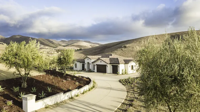 Curved driveway lined with olive trees leading to the home