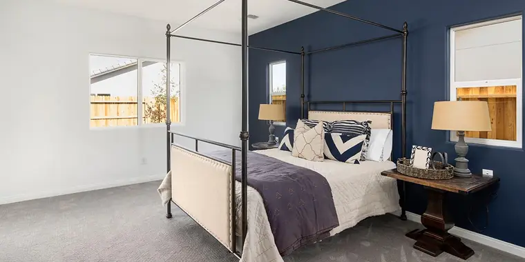 Primary bedroom with a navy accent wall and canopy bed